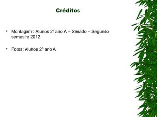 Créditos


   Montagem : Alunos 2º ano A – Seriado – Segundo
    semestre 2012.

   Fotos: Alunos 2º ano A
 