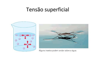Tensão superficial
 