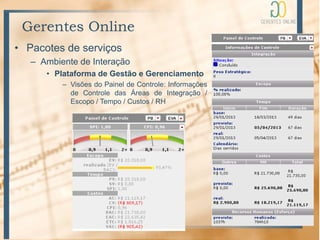 Gerentes Online
• Pacotes de serviços
   – Ambiente de Interação
      • Plataforma de Gestão e Gerenciamento
          – Visões do Painel de Controle: Informações
            de Controle das Áreas de Integração /
            Escopo / Tempo / Custos / RH
 