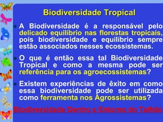 Biodiversidade Tropical
   A Biodiversidade é a responsável pelo
    delicado equilíbrio nas florestas tropicais,
    pois biodiversidade e equilíbrio sempre
    estão associados nesses ecossistemas.
   O que é então essa tal Biodiversidade
    Tropical e como a mesma pode ser
    referência para os agroecossistemas?
   Existem experiências de êxito em como
    essa biodiversidade pode ser utilizada
    como ferramenta nos Agrossistemas?
Biodiversidade Dentro e Entorno do Talhão
 