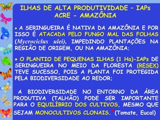 ILHAS DE ALTA PRODUTIVIDADE – IAPs
          ACRE - AMAZÔNIA
 A SERINGUEIRA É NATIVA DA AMAZÔNIA E POR
ISSO É ATACADA PELO FUNGO MAL DAS FOLHAS
(Mycrociclus ulei), IMPEDINDO PLANTAÇÕES NA
REGIÃO DE ORIGEM, OU NA AMAZÔNIA;

 O PLANTIO DE PEQUENAS ILHAS (1 Ha)-IAPs DE
SERINGUEIRA NO MEIO DA FLORESTA (RESEX)
TEVE SUCESSO, POIS A PLANTA FOI PROTEGIDA
PELA BIODIVERSIDADE AO REDOR;

• A BIODIVERSIDADE NO ENTORNO DA ÁREA
PRODUTIVA (TALHÃO) PODE SER IMPORTANTE
PARA O EQUILÍBRIO DOS CULTIVOS, MESMO QUE
SEJAM MONOCULTIVOS CLONAIS.*(Tomate, Eucal)
 
