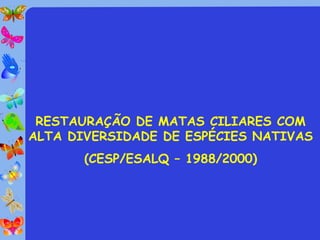 RESTAURAÇÃO DE MATAS CILIARES COM
ALTA DIVERSIDADE DE ESPÉCIES NATIVAS
       (CESP/ESALQ – 1988/2000)
 