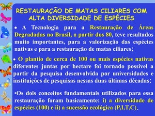 RESTAURAÇÃO DE MATAS CILIARES COM
    ALTA DIVERSIDADE DE ESPÉCIES
 A Tecnologia para a Restauração de Áreas
Degradadas no Brasil, a partir dos 80, teve resultados
muito importantes, para a valorização das espécies
nativas e para a restauração de matas ciliares;
 O plantio de cerca de 100 ou mais espécies nativas
diferentes juntas por hectare foi tornado possível a
partir da pesquisa desenvolvida por universidades e
instituições de pesquisas nessas duas últimas décadas;

•Os dois conceitos fundamentais utilizados para essa
restauração foram basicamente: i) a diversidade de
espécies (100) e ii) a sucessão ecológica (P,I,T,C).
 