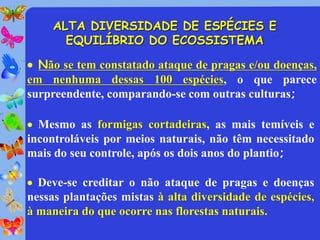ALTA DIVERSIDADE DE ESPÉCIES E
       EQUILÍBRIO DO ECOSSISTEMA

 Não se tem constatado ataque de pragas e/ou doenças,
em nenhuma dessas 100 espécies, o que parece
surpreendente, comparando-se com outras culturas;

 Mesmo as formigas cortadeiras, as mais temíveis e
incontroláveis por meios naturais, não têm necessitado
mais do seu controle, após os dois anos do plantio;

 Deve-se creditar o não ataque de pragas e doenças
nessas plantações mistas à alta diversidade de espécies,
à maneira do que ocorre nas florestas naturais.
 