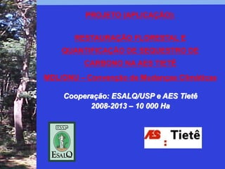 PROJETO (APLICAÇÃO):


       RESTAURAÇÃO FLORESTAL E
    QUANTIFICAÇÃO DE SEQUESTRO DE
         CARBONO NA AES TIETÊ
MDL/ONU – Convenção de Mudanças Climáticas

    Cooperação: ESALQ/USP e AES Tietê
          2008-2013 – 10 000 Ha
 