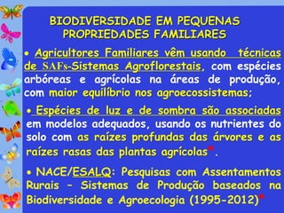 BIODIVERSIDADE EM PEQUENAS
      PROPRIEDADES FAMILIARES
 Agricultores Familiares vêm usando   técnicas
de SAFs-Sistemas Agroflorestais, com espécies
arbóreas e agrícolas na áreas de produção,
com maior equilíbrio nos agroecossistemas;
 Espécies de luz e de sombra são associadas
em modelos adequados, usando os nutrientes do
solo com as raízes profundas das árvores e as
raízes rasas das plantas agrícolas*.
 NACE/ESALQ: Pesquisas com Assentamentos
Rurais – Sistemas de Produção baseados na
Biodiversidade e Agroecologia (1995-2012)*
 