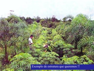 Exemplo de estrutura que queremos !!
 