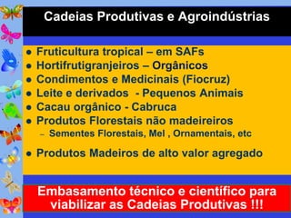 Cadeias Produtivas e Agroindústrias

   Fruticultura tropical – em SAFs
   Hortifrutigranjeiros – Orgânicos
   Condimentos e Medicinais (Fiocruz)
   Leite e derivados - Pequenos Animais
   Cacau orgânico - Cabruca
   Produtos Florestais não madeireiros
    –   Sementes Florestais, Mel , Ornamentais, etc

   Produtos Madeiros de alto valor agregado


    Embasamento técnico e científico para
     viabilizar as Cadeias Produtivas !!!
 