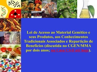 Lei de Acesso ao Material Genético e
  seus Produtos, aos Conhecimentos
Tradicionais Associados e Repartição de
 Benefícios (discutida no CGEN/MMA
 por dois anos; na Casa Civil até hoje).
 