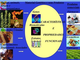 Plantas, animais,     Material Genético e seus Produtos
                                                          Produtos
fungos e
microorganismos                                           comerciais
                            Genes                         Fármacos


                                   CARACTERÍSTICAS
                          Biomoléculas
                                          E
Variedades Crioulas
                                      PROPRIEDADES
                           Extratos                       Cosméticos
                                       FUNCIONAIS
Conhecimentos
Tradicionais Associados                                   Cultivares
 