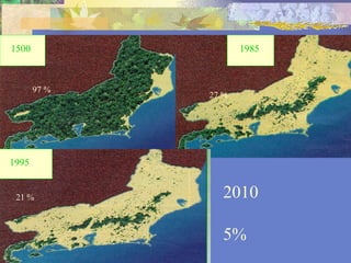 1500                 1985



       97 %
              27 %




1995


 21 %            2010

                 5%
 