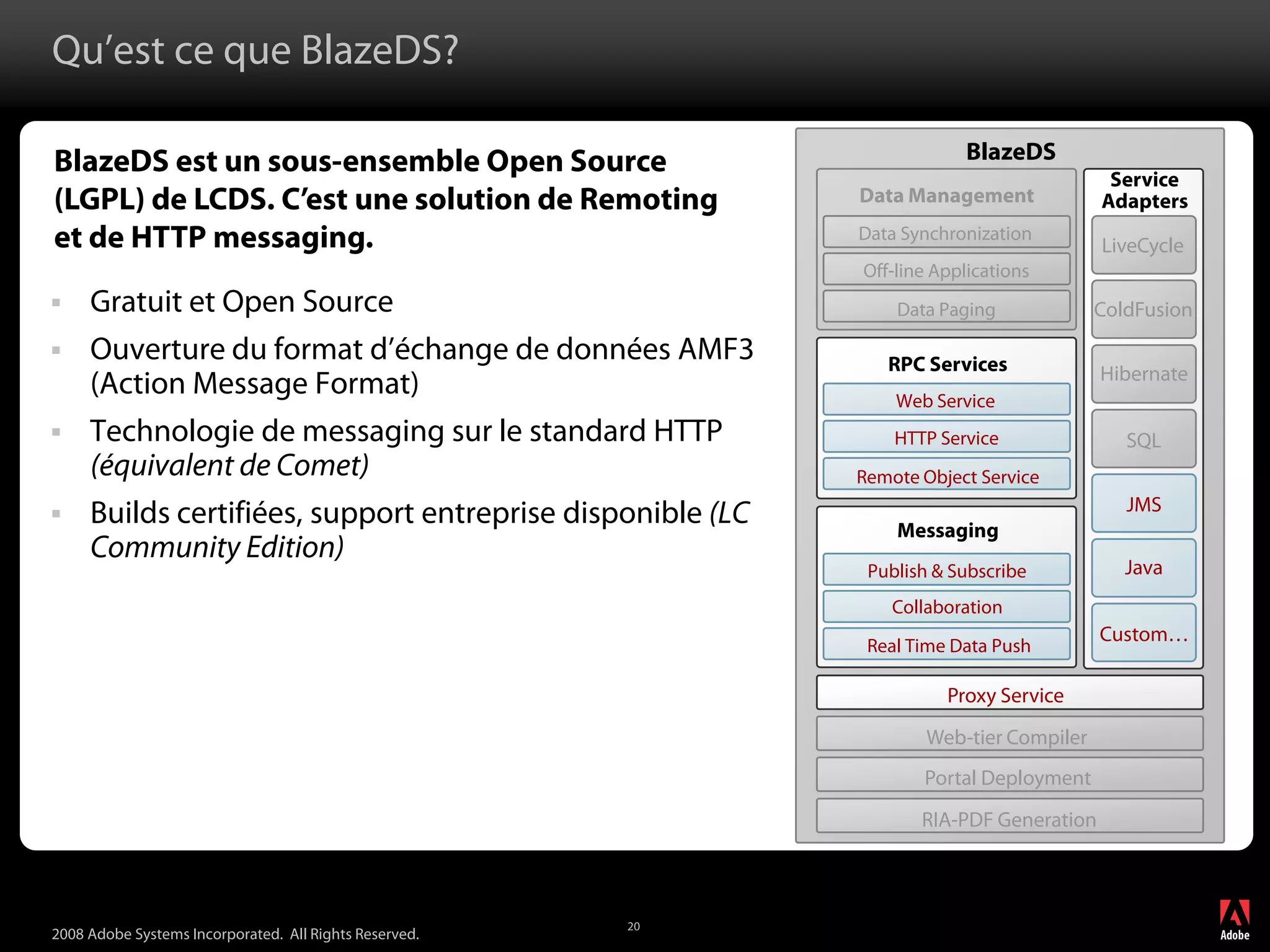 Adobe LiveCycle Data Services