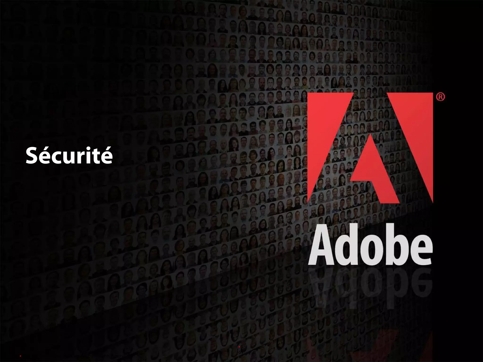 Adobe LiveCycle Data Services