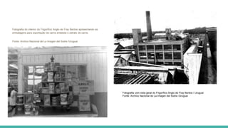 Fotografia do interior do Frigorífico Anglo de Fray Bentos apresentando as
embalagens para exportação da carne enlatada e extrato de carne.
Fonte: Archivo Nacional de La Imagen del Sodre /Uruguai
Fotografia com vista geral do Frigorífico Anglo de Fray Bentos / Uruguai
Fonte: Archivo Nacional de La Imagen del Sodre /Uruguai
 