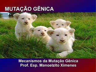 MUTAÇÃO GÊNICA Mecanismos da Mutação Gênica Prof. Esp. Manoelzito Ximenes 