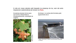 Ciências, 9º Ano
Os Fenômenos Ópticos e suas Relações.
A vida em nosso planeta está baseada na presença da luz, sem ela seria
impossível a sobrevivência do homem na Terra.
As plantas precisam da luz para
que ocorra a fotossíntese e,
consequentemente, a produção de
oxigênio
As brisas e os ventos são formados pelo
aquecimento do ar.
Imagem:
Pixeltoo
/
Creative
Commons
Attribution-Share
Alike
3.0
Unported
Imagem: Adrian Beney / Creative Commons Attribution-Share Alike
2.0 Generic
 