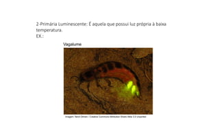 2-Primária Luminescente: É aquela que possui luz própria à baixa
temperatura.
EX.:
Vagalume
Ciências, 9º Ano
Os Fenômenos Ópticos e suas Relações.
Imagem: Nevit Dilmen / Creative Commons Attribution-Share Alike 3.0 Unported
 