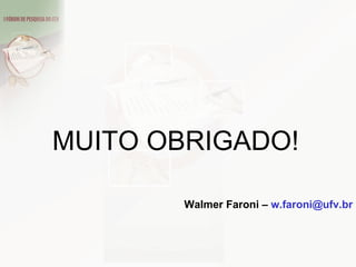 MUITO OBRIGADO! Walmer Faroni –  [email_address] 