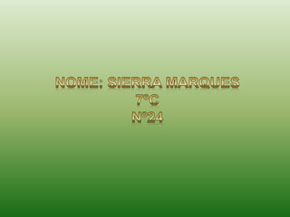 Apresentação de Sierra