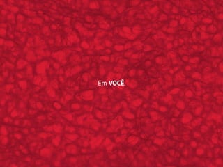 Em VOCÊ.
 
