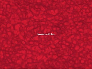Nossas células
 
