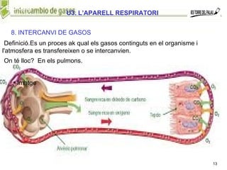 Biologia
8. INTERCANVI DE GASOS
Definició.Es un proces ak qual els gasos continguts en el organisme i
l'atmosfera es transfereixen o se intercanvien.
13
On té lloc? En els pulmons.
• Imatge
U3. L’APARELL RESPIRATORI
 