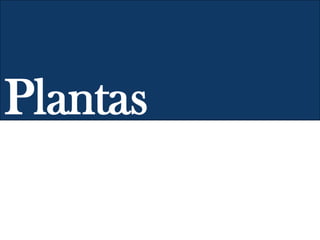Plantas
 