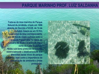 PARQUE MARINHO PROF. LUÍZ SALDANHA Trata-se da área marinha do Parque Natural da Arrábida, criado em 1998 através do Decreto nº23/28, de 14 de Outubro. Insere-se em 53 Km quadrados de área correspondente aos 38 Km de costa rochosa entre a praia da Figueirinha, na saída do estuário do Sado e a praia da Foz a norte do Cabo Espichel.  Neste sub-tema pretende-se estudar essencialmente a biodiversidade dos diferentes seres vivos do parque marinho, bem como a importância da preservação do ambiente e áreas protegidas. 