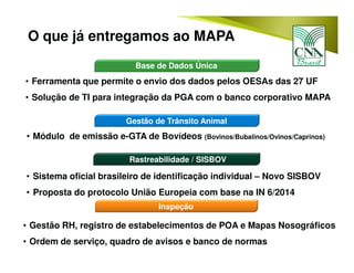 O que já entregamos ao MAPA
Gestão de Trânsito Animal
• Módulo de emissão e-GTA de Bovídeos (Bovinos/Bubalinos/Ovinos/Caprinos)
Rastreabilidade / SISBOV
• Sistema oficial brasileiro de identificação individual – Novo SISBOV
• Proposta do protocolo União Europeia com base na IN 6/2014
Inspeção
• Gestão RH, registro de estabelecimentos de POA e Mapas Nosográficos
• Ordem de serviço, quadro de avisos e banco de normas
Base de Dados Única
• Ferramenta que permite o envio dos dados pelos OESAs das 27 UF
• Solução de TI para integração da PGA com o banco corporativo MAPA
 