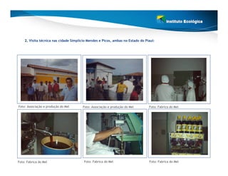 2. Visita técnica nas cidade Simplício Mendes e Picos, ambas no Estado do Piauí:




Foto: Associação e produção do Mel     Foto: Associação e produção do Mel       Foto: Fabrica do Mel




Foto: Fabrica do Mel                    Foto: Fabrica do Mel                    Foto: Fabrica do Mel
 