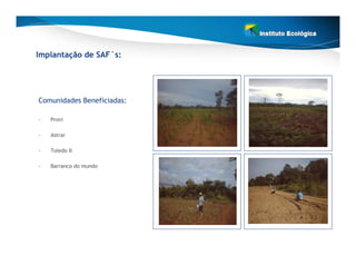 Implantação de SAF`s:




Comunidades Beneficiadas:

-   Provi

-   Astrar

-   Toledo II

-   Barranco do mundo
 