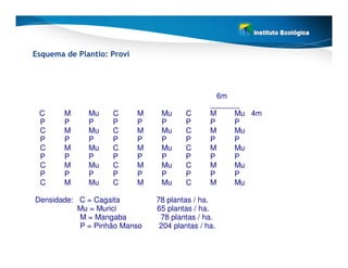 Esquema de Plantio: Provi




                                                  6m
                                                _______
 C      M     Mu    C       M    Mu      C      M     Mu 4m
 P      P     P     P       P    P       P      P     P
 C      M     Mu    C       M    Mu      C      M     Mu
 P      P     P     P       P    P       P      P     P
 C      M     Mu    C       M    Mu      C      M     Mu
 P      P     P     P       P    P       P      P     P
 C      M     Mu    C       M    Mu      C      M     Mu
 P      P     P     P       P    P       P      P     P
 C      M     Mu    C       M    Mu      C      M     Mu

Densidade: C = Cagaita          78 plantas / ha.
           Mu = Murici          65 plantas / ha.
           M = Mangaba           78 plantas / ha.
           P = Pinhão Manso      204 plantas / ha.
 