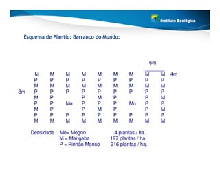 Esquema de Plantio: Barranco do Mundo:




                                                      6m
                                                    _______
      M     M      M     M      M    M      M       M     M   4m
      P     P      P     P      P    P      P       P     P
      M     M      M     M      M    M      M       M     M
8m    P     P      P     P      P    P      P       P     P
      M     P            P      M    P              P     M
      P     P      Mo    P      P    P      Mo      P     P
      M     P            P      M    P              P     M
      P     P      P     P      P    P      P       P     P
      M     M      M     M      M    M      M       M     M

     Densidade   Mo= Mogno            4 plantas / ha.
                 M = Mangaba        197 plantas / ha.
                 P = Pinhão Manso   216 plantas / ha.
 