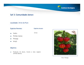 Saf 3: Comunidade Astrar:



Localidade: 34 km do Pium


Espécies Perenes:
Espé                              Espécies Anuais:
                                  Espé


    Cedro                         -Arroz

    Pinhão manso
    Pitanga
    Araçá



Objetivo:

    Produção de doces, licores e óleo vegetal
    (Pinhão Manso)


                                                     Foto: Pitanga
 