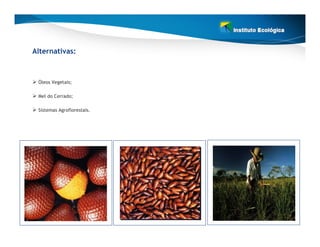 Alternativas:



 Óleos Vegetais;

 Mel do Cerrado;

 Sistemas Agroflorestais.
 