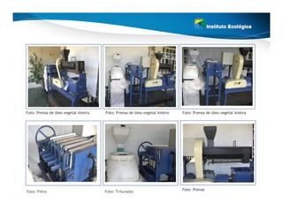 Foto: Prensa de óleo vegetal Inteira   Foto: Prensa de óleo vegetal Inteira   Foto: Prensa de óleo vegetal Inteira




                                                                              Foto: Prensa
Foto: Filtro                           Foto: Triturador
 