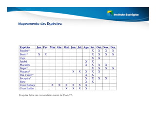 Mapeamento das Espécies:




Espécies    Jan. Fev. Mar Abr. Mai. Jun. Jul. Ago. Set. Out. Nov. Dez.
Bacaba*                                             X    X    X    X
Buriti*      X    X                                 X    X    X    X
Caju                                                X    X
Jatobá                                         X    X
Macaúba                                        X    X    X    X
Pequi*                                              X    X    X    X
Piaçava*                             X X       X    X    X
Pau d’óleo*                                    X    X
Sucupira*                                      X    X    X    X
Baru                                           X    X
Coco Babaçu            X   X    X    X X       X
Coco Babão                      X    X X       X

Pesquisa feita nas comunidades rurais de Pium-TO.
 
