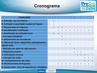 Cronograma
ETAPA/MÊS 1 2 3 4 5 6 7 8 9 10 11 12
A. Definição das microbacias x
B. Formação e capacitação equipes da Copasa x x
C. Disseminação do Programa x x x
D. Sensibilização/ mobilização x x x x x x x x x x
E. Identificação de entidades locais x x
F. Formação COLMEIAS x
G. Mapeamento das microbacias x
H. Oficina do Futuro -Diagnóstico, planejamento e
agenda ações
x x
I. Definição das ações de cada parceiro x
J. Elaboração projetos x x x
K. Contratações serviços x x x
L. Execução das ações x x x
M. Acompanhamento das ações x x x
N. Monitoramento do Programa x x x x x x x x x x
O. Evento anual - troca de experiências- COLMEIAs x
 