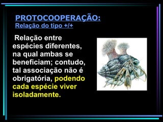 Relação entre espécies diferentes, na qual ambas se beneficiam; contudo, tal associação não é obrigatória,  podendo cada espécie viver isoladamente. PROTOCOOPERAÇÃO:  Relação do tipo +/+ 
