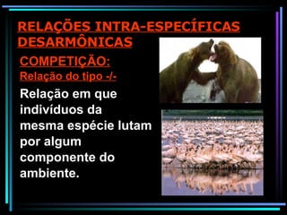 RELAÇÕES INTRA-ESPECÍFICAS DESARMÔNICAS COMPETIÇÃO: Relação do tipo -/- Relação em que indivíduos da mesma espécie lutam por algum componente do ambiente.  