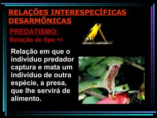 Relação em que o indivíduo predador captura e mata um indivíduo de outra espécie, a presa, que lhe servirá de alimento. PREDATISMO: Relação do tipo +/- RELAÇÕES INTERESPECÍFICAS DESARMÔNICAS 