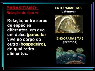 Relação entre seres de espécies diferentes, em que um deles ( parasita)  vive no corpo do outro ( hospedeiro) , do qual retira alimentos. PARASITISMO:  Relação do tipo +/-   ECTOPARASITAS  (externos) ENDOPARASITAS (internos) 