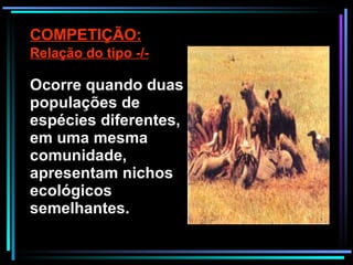COMPETIÇÃO: Relação do tipo -/- Ocorre quando duas populações de espécies diferentes, em uma mesma comunidade, apresentam nichos ecológicos semelhantes. 