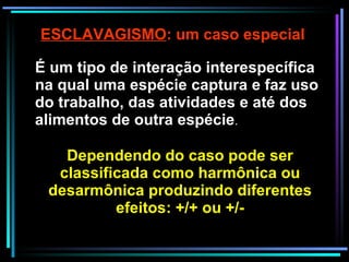 ESCLAVAGISMO : um caso especial É um tipo de interação interespecífica na qual uma espécie captura e faz uso do trabalho, das atividades e até dos alimentos de outra espécie . Dependendo do caso pode ser classificada como harmônica ou desarmônica produzindo diferentes efeitos: +/+ ou +/- 