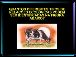 QUANTOS DIFERENTES TIPOS DE RELAÇÕES ECOLÓGICAS PODEM SER IDENTIFICADAS NA FIGURA ABAIXO? 
