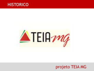 HISTORICO projeto TEIA MG 