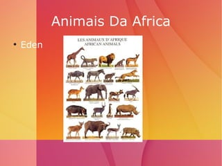 Animais Da Africa ,[object Object]