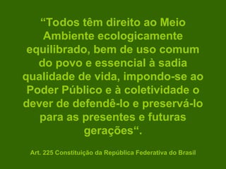 “Todos têm direito ao Meio
Ambiente ecologicamente
equilibrado, bem de uso comum
do povo e essencial à sadia
qualidade de vida, impondo-se ao
Poder Público e à coletividade o
dever de defendê-lo e preservá-lo
para as presentes e futuras
gerações“.
Art. 225 Constituição da República Federativa do Brasil
 