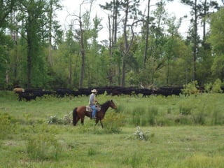 Apres texas profissional_gse