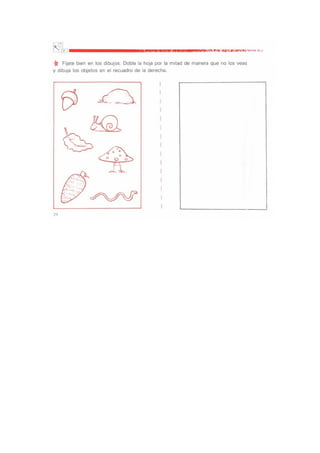 Material de Apresto.